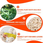 6 Pack Bird Toy Sola Balls, Natural Parrot Soft Chew Shredding & Foraging Toy - Image 3