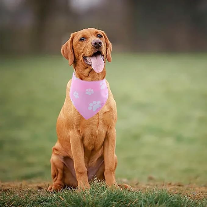 30 Pack Paw Print Bandanas Bulk - Image 7