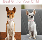 Nylon Dog Collar - Image 3
