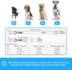 Blueberry Pet Valentines Day Dog Collar - Image 5