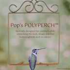 The Original Hummingbird Swing for Outdoors - Image 3