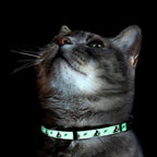 Pawtitas Halloween Cat Collars for Cats Adjustable Collar Glow in The Dark - Image 7