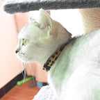 Breakaway Cat Collars with Bell, Durable & Safe Cute Kitten Collars Safety - Image 6