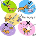 CHIWAVA 4 Pack 2.4" Squeak Latex Puppy Dog Toy Ball Sports Balls Sets Fetch - Image 7