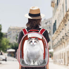 Pet Backpack Carrier, Bubble Backpack Cat Carrier, Pets and Small Dogs - Image 3