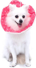 Adjustable Dog Cat Cone, Soft Recovery Cat Cone Collar, Dog Protective Collar by WZPET