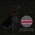 Reflective Dog Collar Padded - Image 5