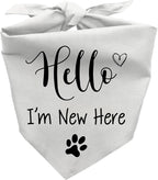 Hello I'm New Here Dog Bandana, New Puppy Reveal Party Photo Prop, Cute New by Joyriza