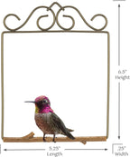 The Original Hummingbird Swing for Outdoors - Image 5