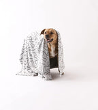 Bone Dry Embossed Bone Collection, Pet Blanket - Image 4