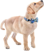 Faleela Cute Soft Girl Dog Collar - Image 5
