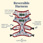 Lucy & Co. Cute Reversible Dog Harness Walking Halter - Image 4
