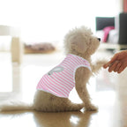 4Pcs Cat and Dog Shirts - Image 6