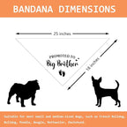 Promoted to Big Brother Pregnancy Announcement Dog Bandana Baby Announcement - Image 2