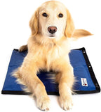 CoolerDog Hydro Cooling Mat for Dogs – Dog Cooling Mat & Cooling Pad for Hot by CoolerDog
