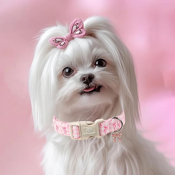 Girl Dog Collar for Medium Dogs - Image 2