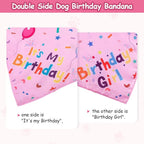 Dog Birthday Decorations, Dog Birthday Hat - Image 5