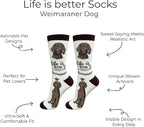 E&S Pets Pet Lover Socks - Image 2