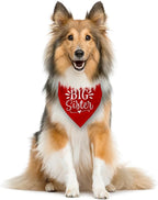 Big Sister Dog Bandana, Pet Dogs Pregnancy Announcement, Pet Bandanas - Image 3