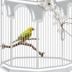 PINVNBY Parrot Perches Natural Birds Stand Wild Grape Stick Grinding Paw - Image 6