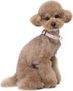 Reflective Dog Collar for Small Dogs, Cute Flower Theme Adjustable Heavy-Duty - Image 2