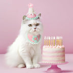 Sanwuta 2 Pcs Cat Birthday Party Supplies, Knit Cat Hat Kitten Birthday Bib - Image 5