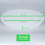 2 Pack of 8 inch Plant Saucer Clear, Heavy Duty Plastic Plant Water Tray 8 inch - Image 2