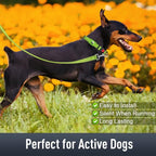 Airtag Dog Collar with AirTag Holder - Image 3