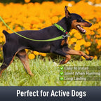 Airtag Dog Collar with AirTag Holder - Image 3