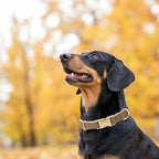 Soft Cotton Hemp Dog Collar - Image 3