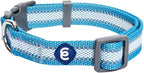 Blueberry Pet Essentials Matching Small Dog Collar | Adjustable Classic Solid by BlueberryPet