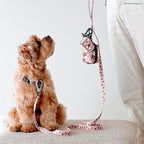 Lucy & Co. Dog Collar - Image 5
