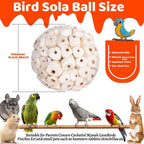 6 Pack Bird Toy Sola Balls, Natural Parrot Soft Chew Shredding & Foraging Toy - Image 2