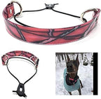Sparky Pet Co - ECollar Replacement Strap - Bungee Dog Collar - Waterproof - by SparkyPetCo