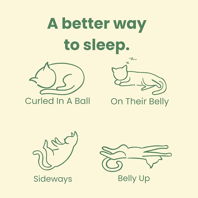 CATTASAURUS Peekaboo Cat Cave for Multiple & Large Cats Up to 30-45 Lbs - Image 8