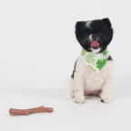 SPOT Bam-Bones Plus Branch -Bamboo Fiber & Nylon, Durable Long Lasting Dog Chew - Image 13