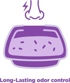 Arm & Hammer Forever Fresh Clumping Cat Litter Lavender, - Image 3