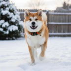 Medium Christmas Dog Collar, Adjustable Dog Christmas Collars, Cute Dog Collars - Image 5