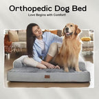 Small Dog Bed Orthopedic Washable Cat Bed Memory Foam Small Couch Sofa Indoor - Image 7