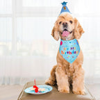 Dog Birthday Party Supplies, Dog Birthday Bandana Set, Dog Boy Girl Birthday - Image 6
