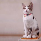 Christmas Cat Collar, Cotton 2 Pack Cat Collar - Image 2