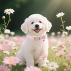 Spring Dog Collar, UP URARA PUP Strawberry Collars in Pink Checkered Adjustable - Image 5