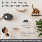Wall Mounted Cat Shelves by Pryde Pets - Image 8