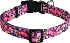QQPETS Adjustable Soft Dog Collar: Print Flower Pink Multicolor Cute Patterns - Image 5