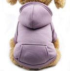 Jecikelon Winter Dog Hoodie Sweatshirts by Jecikelon