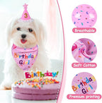 Dog Birthday Decorations, Dog Birthday Hat - Image 4