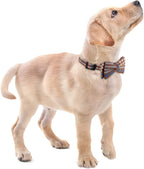 Faleela Soft &Comfy Bowtie Dog Collar, Detachable and Adjustable Bow Tie Collar - Image 5