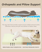 KSIIA Washable Dog Bed XXL Senior Dog, Orthopedic Warm Soft Pet Sofa Waterproof - Image 2