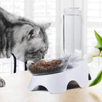 MILIFUN Double Dog Cat Bowls - Image 6