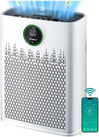Smart Air Purifier for Home Large Rooms, by ECOSELF